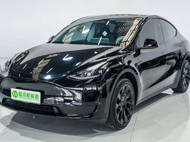 Tesla Model Y 2024 Rear-Wheel Drive Version