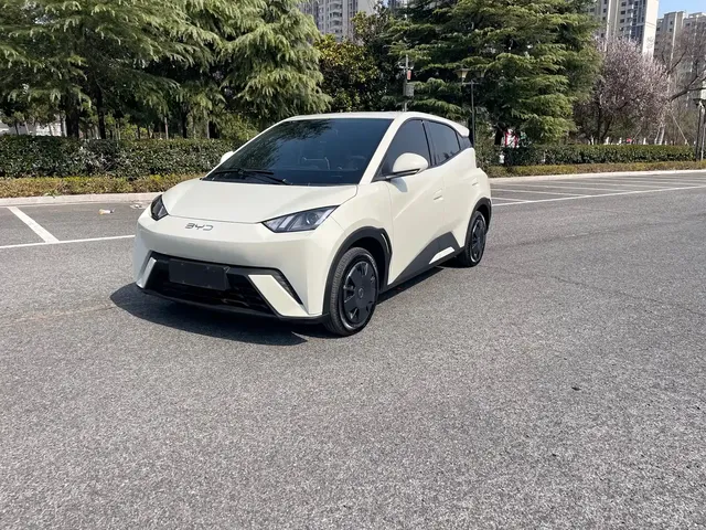 BYD Seagull 2024 Glory Edition 305km Vitality Edition