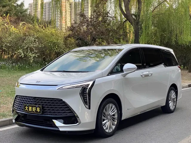 Buick Century 2023 2.0T 7-Seater World Edition