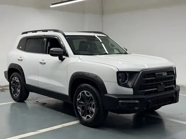 Haval Big Dog 2024 1.5T DCT Border Collie Edition