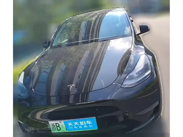Tesla Model Y 2021 Standard Range Rear-Wheel Drive