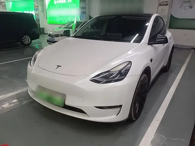 Tesla Model Y 2021 Standard Range Rear-Wheel Drive