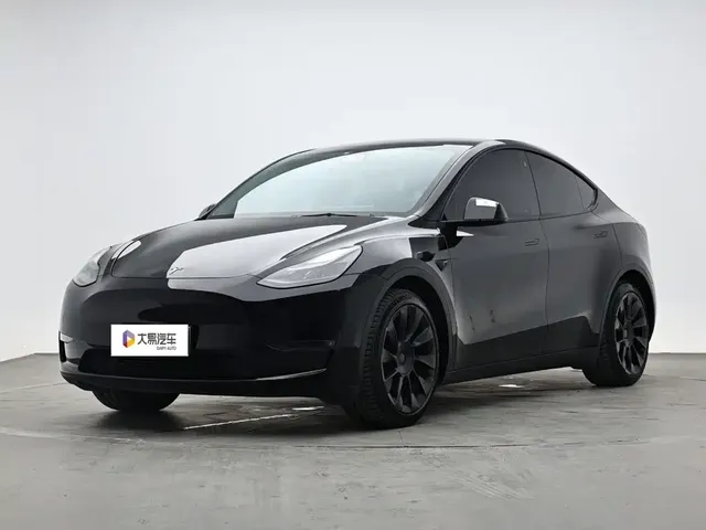 Tesla Model Y 2021 Standard Range Rear-Wheel Drive
