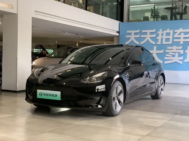 Tesla Model 3 2021 Standard Range Rear-Wheel Drive Upgrade