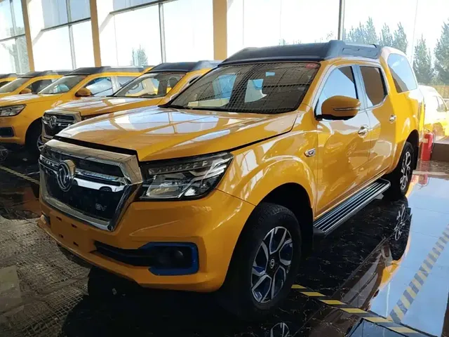 Dongfeng Rich 6 New Energy 2023 Palasso Van Standard Edition 320km