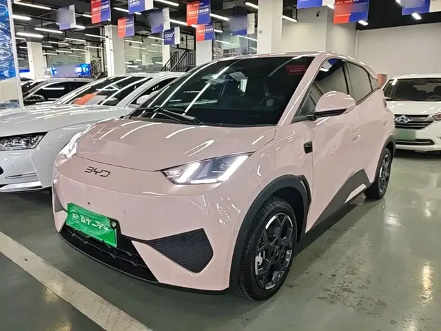 BYD Seagull 2025 Smart Drive Edition 305km Freedom Version