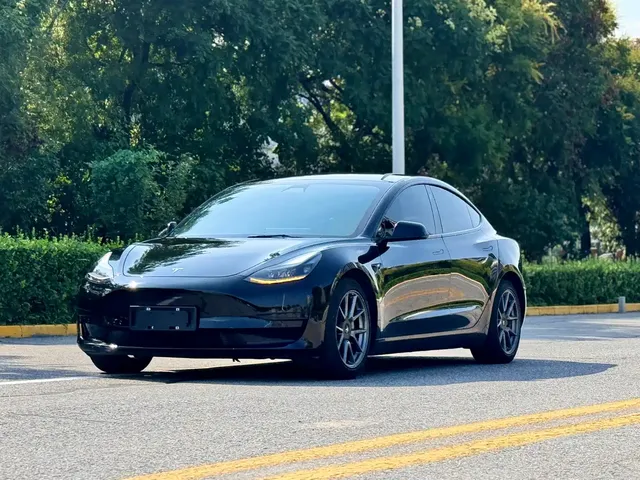 Tesla Model 3 2021 Standard Range Rear-Wheel Drive Upgrade