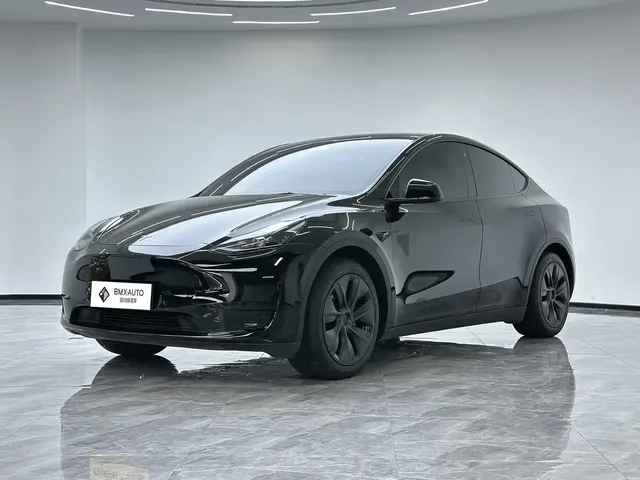 Tesla Model Y 2023 Rear-Wheel Drive Edition