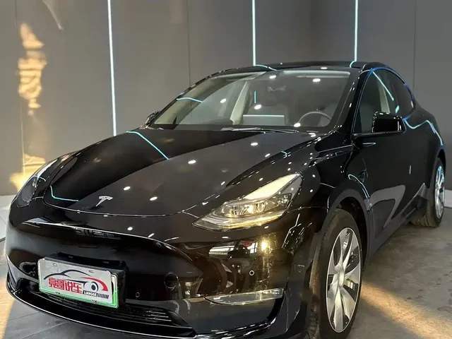 Tesla Model Y 2021 Long Range All-Wheel Drive 3D7