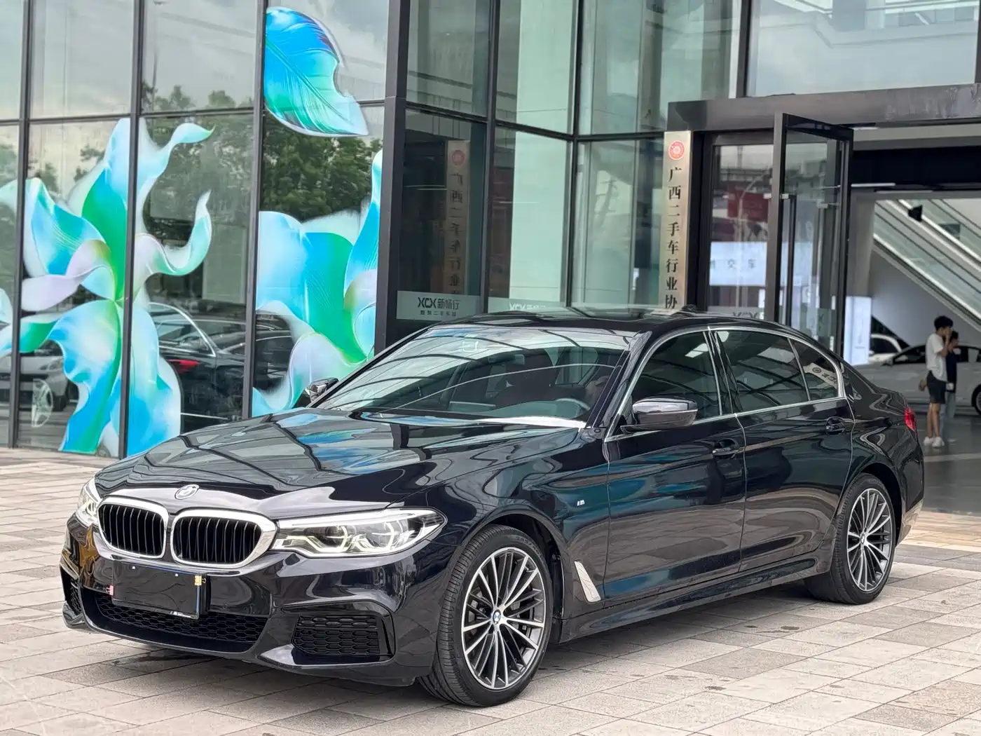 BMW 5 Series 2020 530Li Leading M Sport Package
