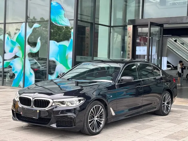 BMW 5 Series 2020 530Li Leading M Sport Package