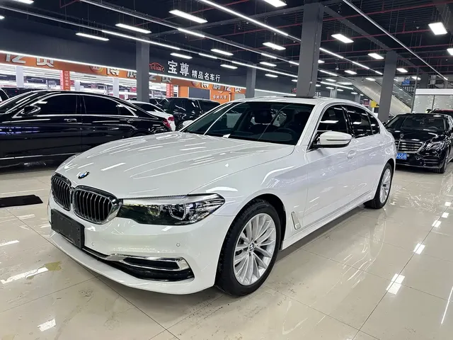 BMW 5 Series 2020 530Li Leading M Sport Package