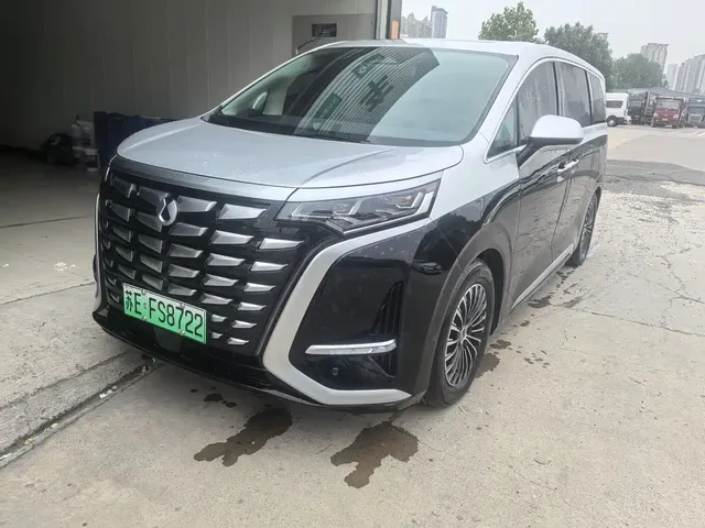 Denza D9 2024 DM-i 980 AWD Flagship