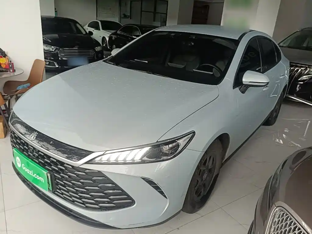 BYD Qin PLUS 2025 DM-i Smart Drive 55KM Leader