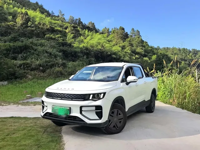 Geely Radar King Kong 2025 430km 2WD Standard Cargo Wealth Guardian