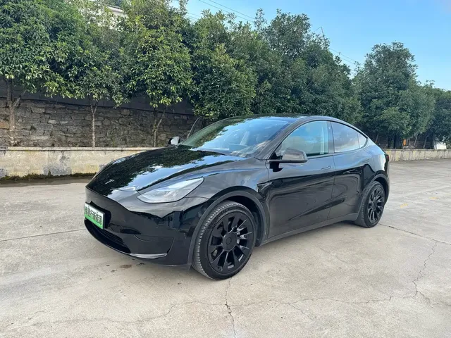 Tesla Model Y 2022 Rear-Wheel Drive Version
