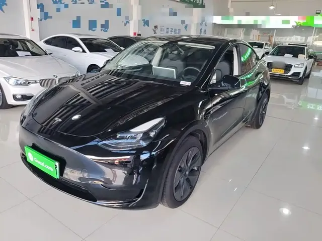 Tesla Model Y 2023 Rear-Wheel Drive Edition