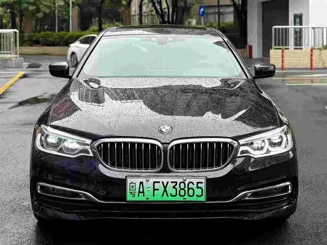 BMW 5 Series New Energy 2019 530Le Luxury Package