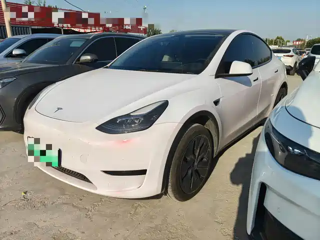 Tesla Model Y 2024 Rear-Wheel Drive Version