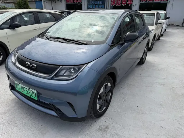BYD Dolphin 2025 420km Freedom Edition