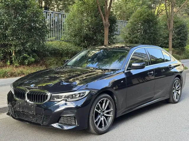 BMW 3 Series 2020 320Li M Sport Package