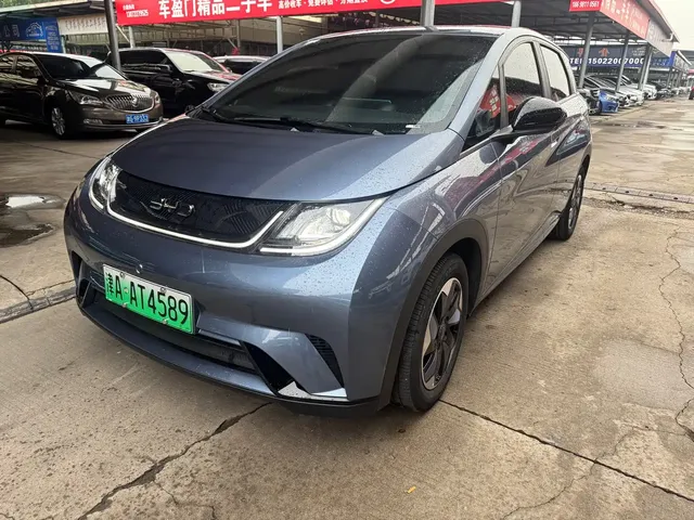 BYD Dolphin 2025 420km Freedom Edition