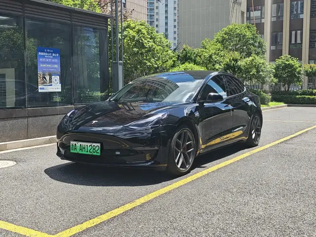 Tesla Model 3 2022 Performance High-Performance AWD