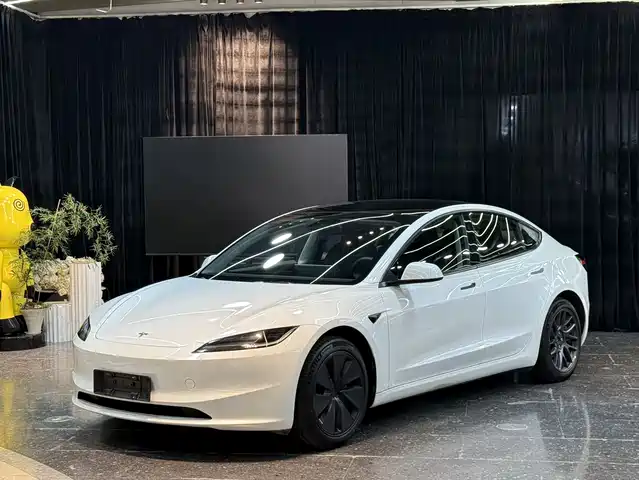 Tesla Model 3 2023 Rear-Wheel Drive