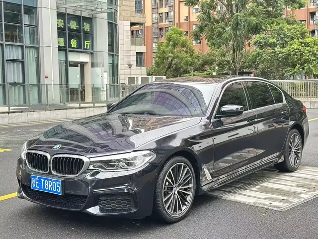 BMW 5 Series 2020 530Li Leading M Sport Package