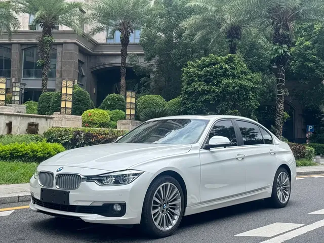 BMW 3 Series 2019 320Li Fashion Type