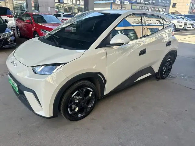 BYD Seagull 2024 Glory Edition 305km Freedom Edition