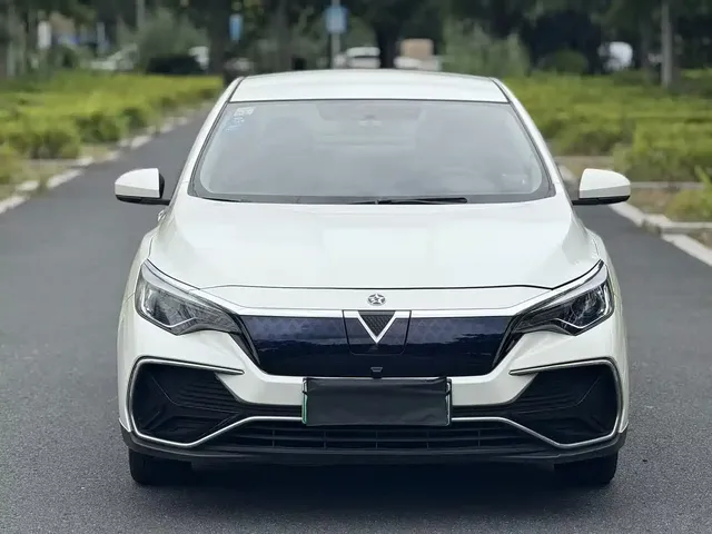 Venucia D60EV 2020 Standard Range Comfort Edition