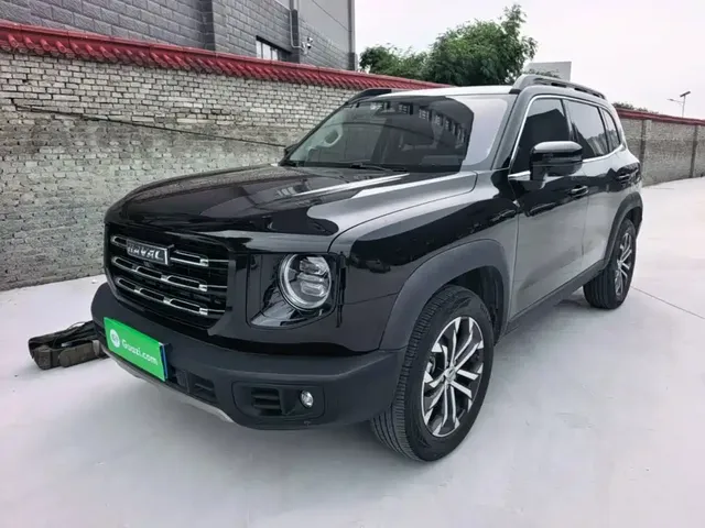 Haval Big Dog 2021 1.5T DCT 2WD Border Collie Edition