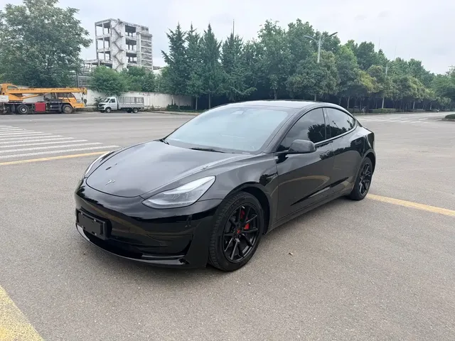 Tesla Model 3 2021 Standard Range Rear-Wheel Drive Upgrade 3D6