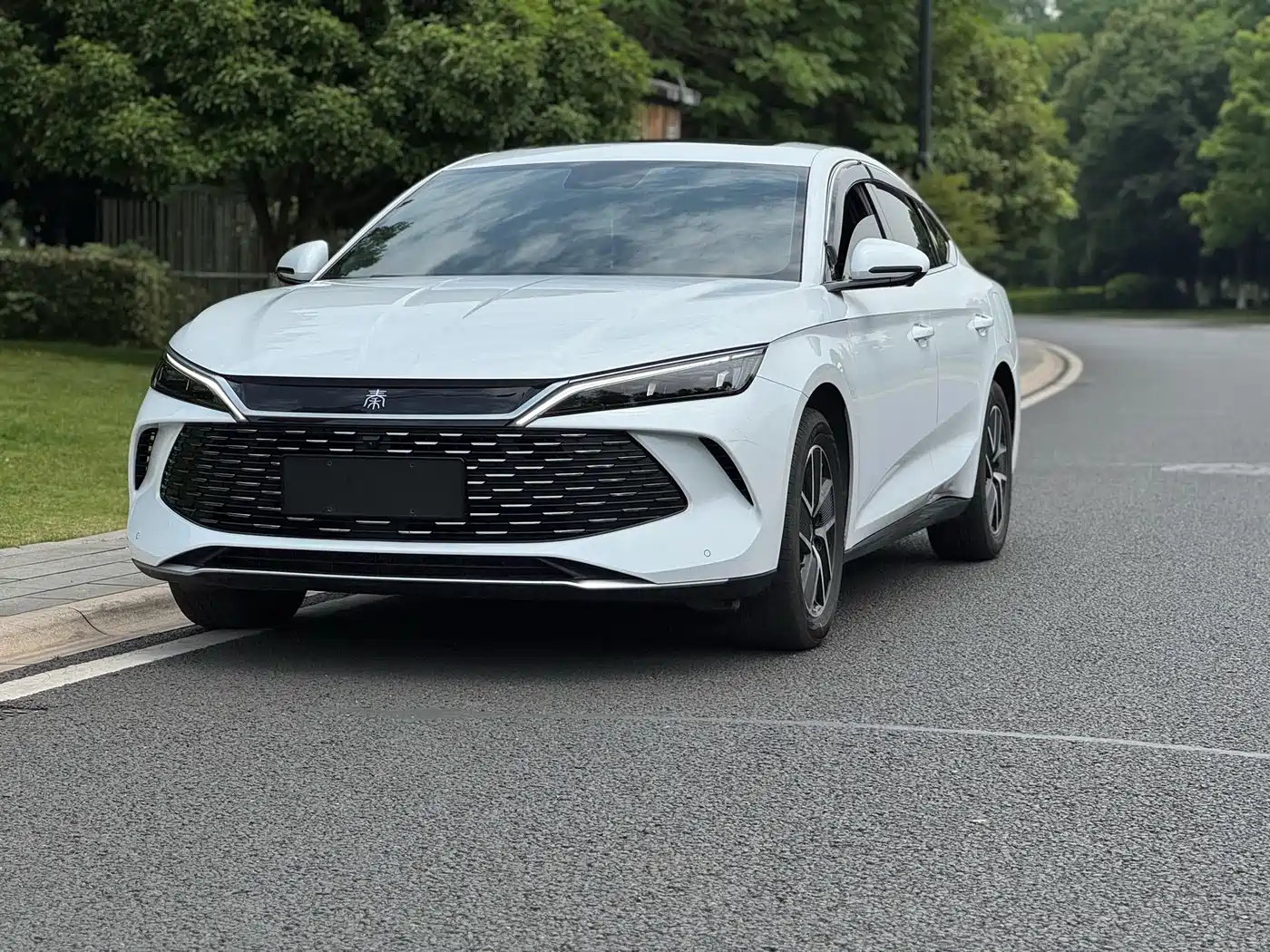 BYD Qin L 2024 DM-i 120KM Leading