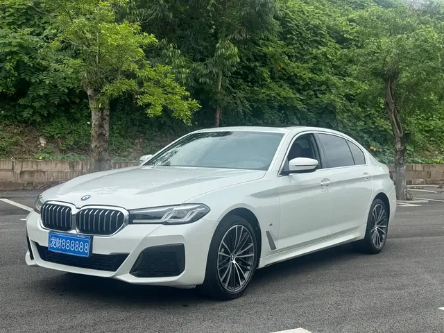 BMW 5 Series 2021 530Li Leading M Sport Package