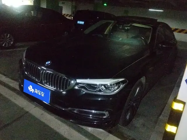BMW 5 Series 2019 530Li Premium Luxury Package