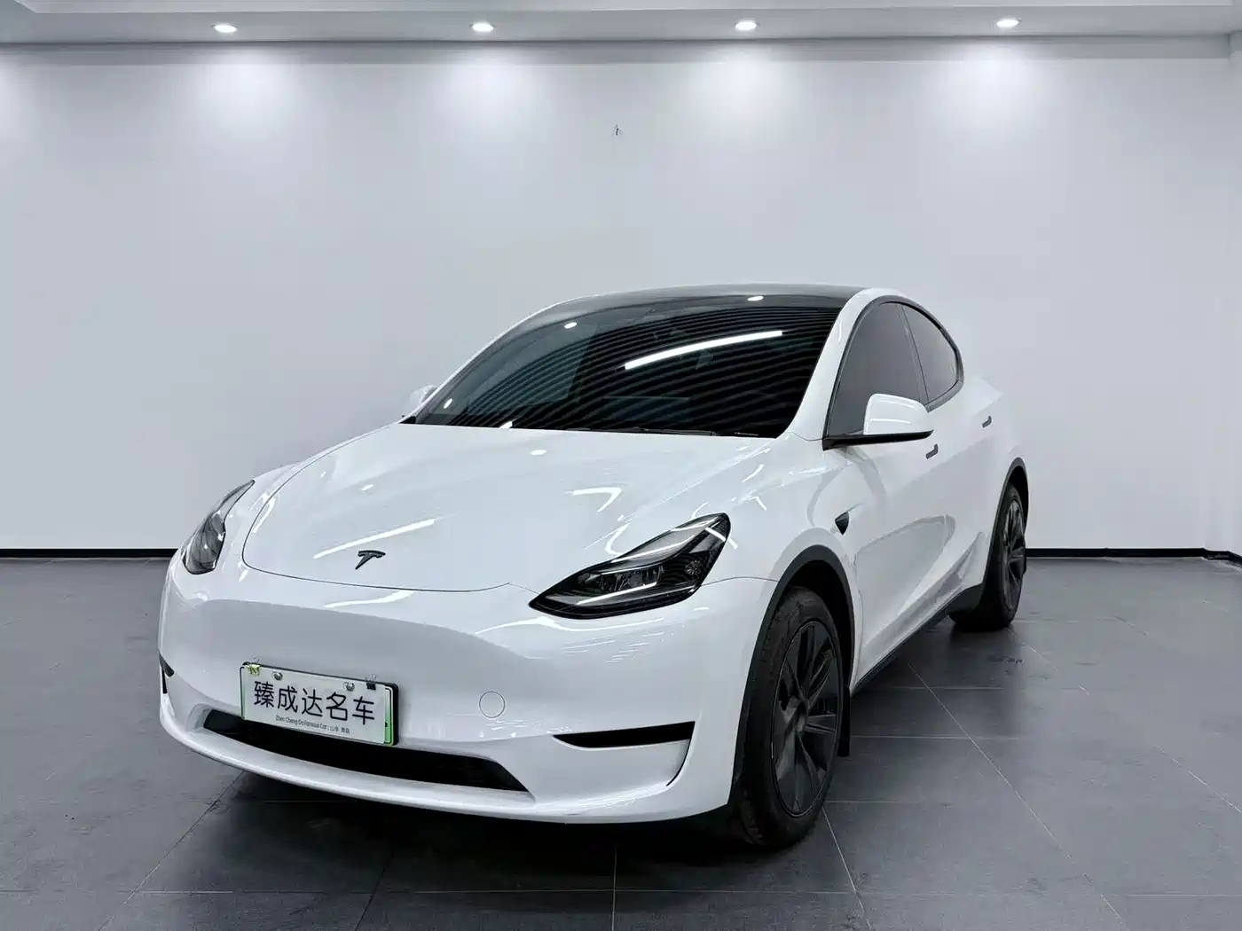 Tesla Model Y 2024 Rear-Wheel Drive Version
