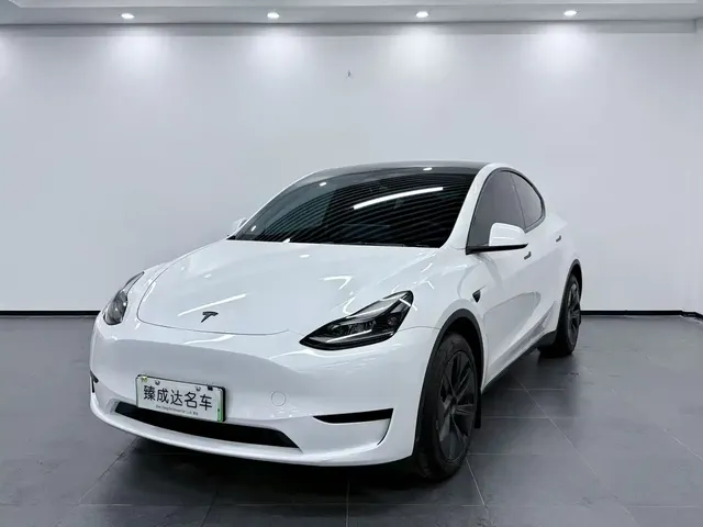 Tesla Model Y 2024 Rear-Wheel Drive Version