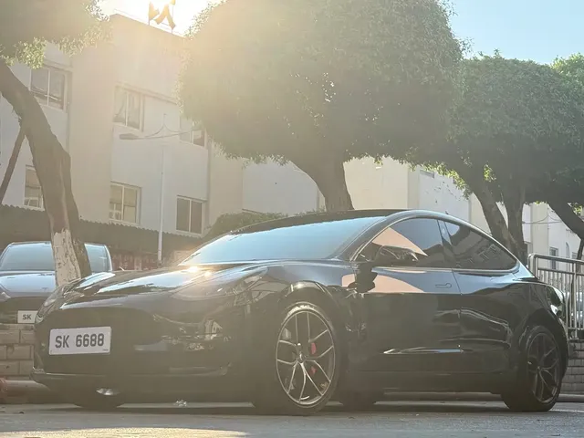 Tesla Model 3 2022 Performance High-Performance AWD