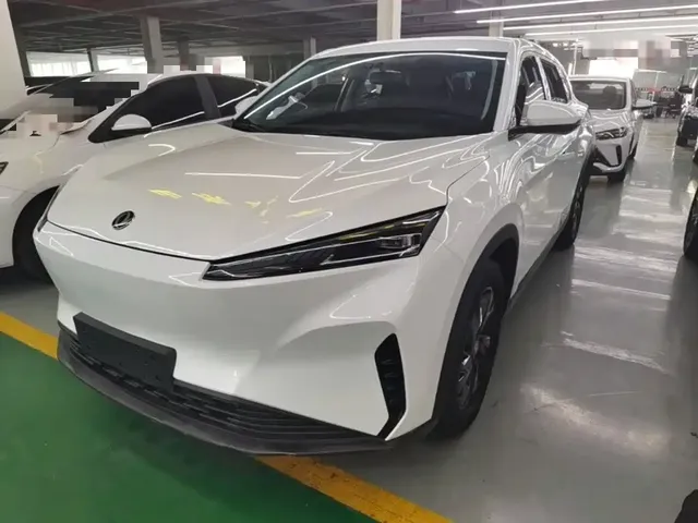 Dongfeng Aeolus SKY EV01 2024 445km PRO