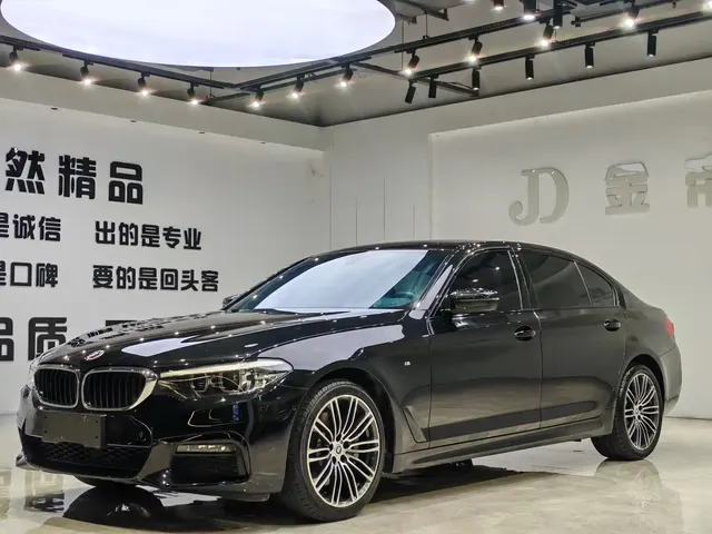 BMW 5 Series 2019 530Li Leading M Sport Package