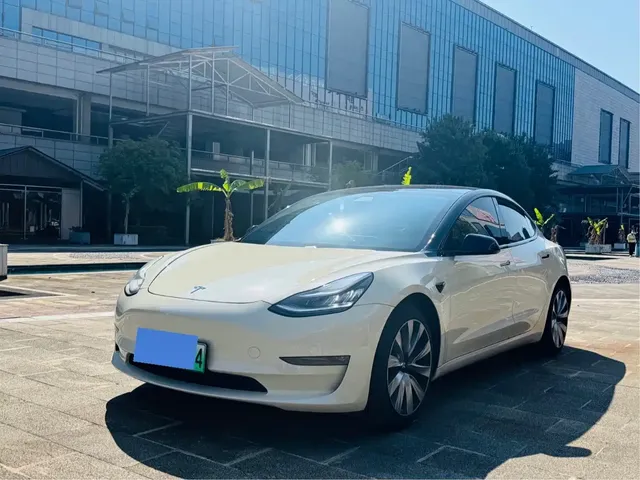 Tesla Model 3 (Import) 2019 Long Range RWD Version