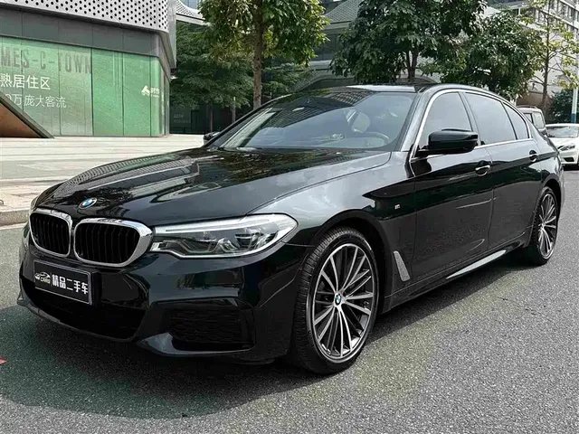 BMW 5 Series 2020 530Li Leading M Sport Package
