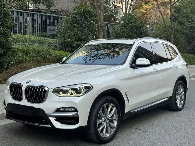 BMW X3 2018 xDrive25i Luxury Package China V