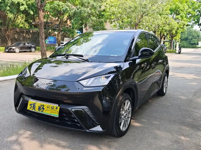BYD Seagull 2024 Glory Edition 305km Vitality Edition