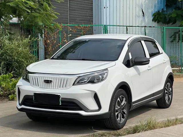 Geely Geometry EX3 Kung Fu Bull 2021 Kung Fu Niu Niu