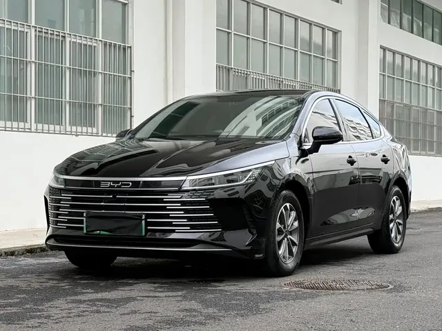 BYD Destroyer 05 2024 Glory Edition DM-i 55KM Luxury