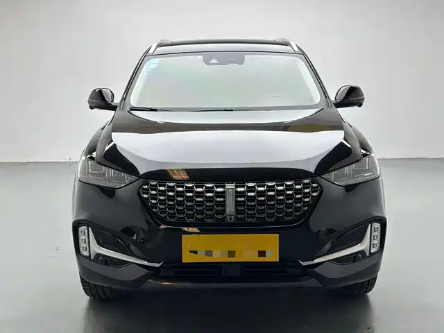 WEY VV6 2021 2.0T 2WD Smart Enjoyment+