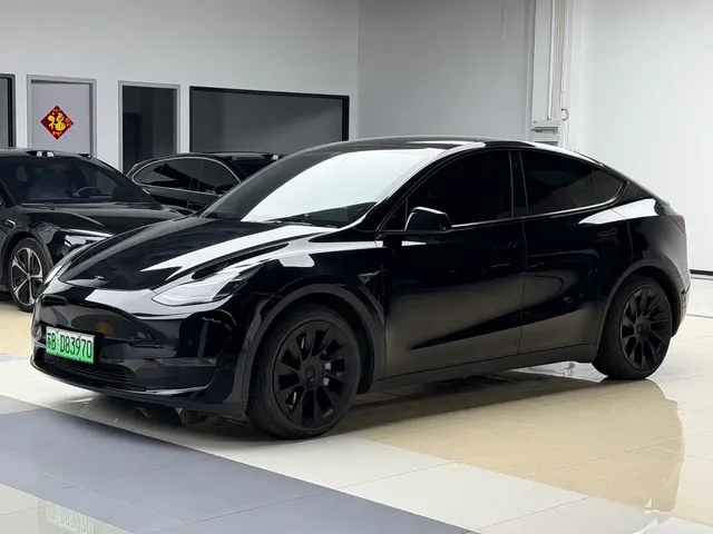 Tesla Model Y 2021 Standard Range Rear-Wheel Drive